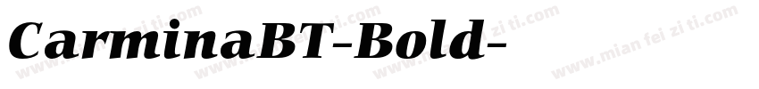 CarminaBT-Bold字体转换