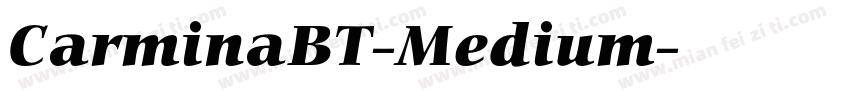 CarminaBT-Medium字体转换