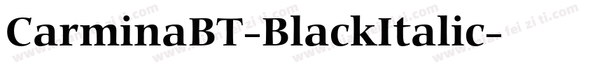CarminaBT-BlackItalic字体转换
