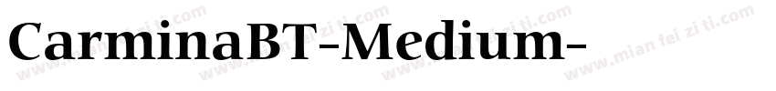 CarminaBT-Medium字体转换