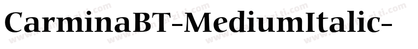 CarminaBT-MediumItalic字体转换