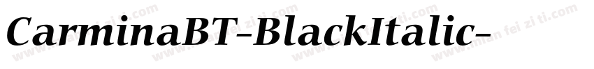 CarminaBT-BlackItalic字体转换
