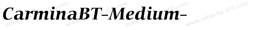 CarminaBT-Medium字体转换