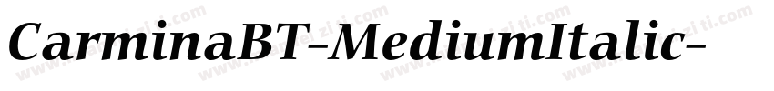 CarminaBT-MediumItalic字体转换