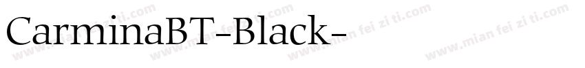 CarminaBT-Black字体转换