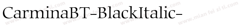 CarminaBT-BlackItalic字体转换