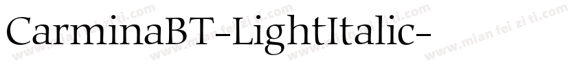 CarminaBT-LightItalic字体转换