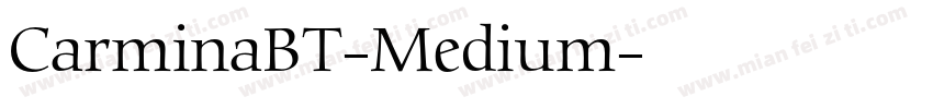 CarminaBT-Medium字体转换