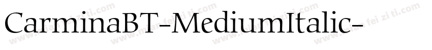 CarminaBT-MediumItalic字体转换