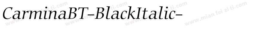 CarminaBT-BlackItalic字体转换