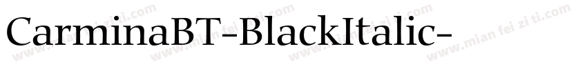 CarminaBT-BlackItalic字体转换