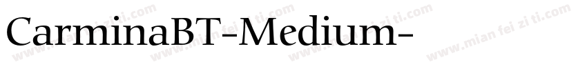 CarminaBT-Medium字体转换