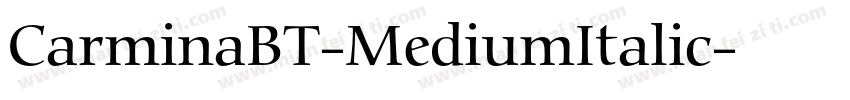 CarminaBT-MediumItalic字体转换
