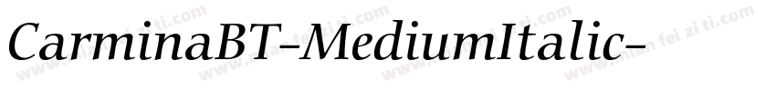 CarminaBT-MediumItalic字体转换