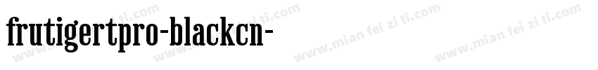 frutigertpro-blackcn字体转换