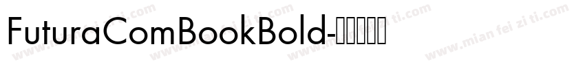 FuturaComBookBold字体转换