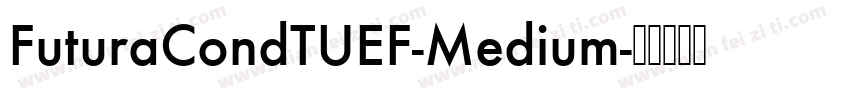 FuturaCondTUEF-Medium字体转换