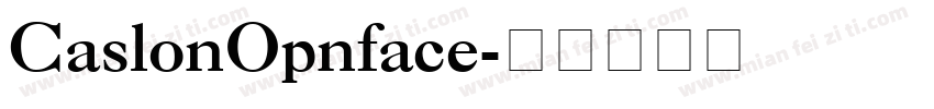 CaslonOpnface字体转换