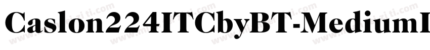 Caslon224ITCbyBT-MediumItalic字体转换