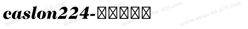 caslon224字体转换