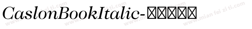 CaslonBookItalic字体转换