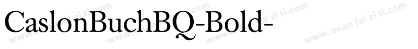 CaslonBuchBQ-Bold字体转换