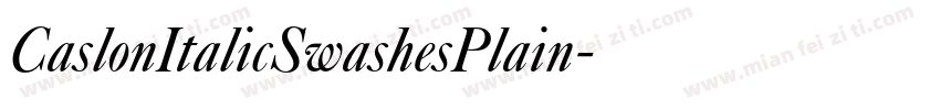 CaslonItalicSwashesPlain字体转换