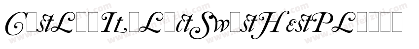 CaslonItalicSwashesPlain字体转换
