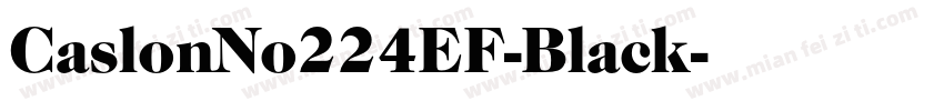 CaslonNo224EF-Black字体转换