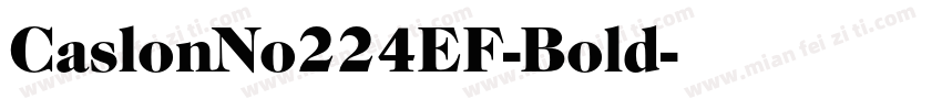 CaslonNo224EF-Bold字体转换