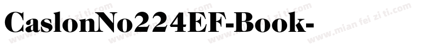 CaslonNo224EF-Book字体转换