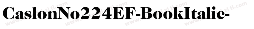 CaslonNo224EF-BookItalic字体转换
