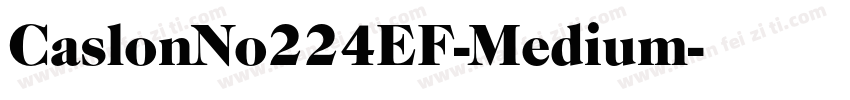 CaslonNo224EF-Medium字体转换