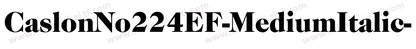 CaslonNo224EF-MediumItalic字体转换