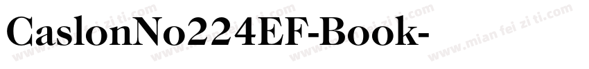 CaslonNo224EF-Book字体转换