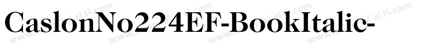 CaslonNo224EF-BookItalic字体转换