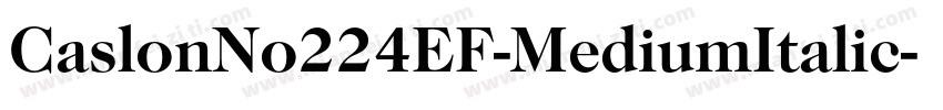 CaslonNo224EF-MediumItalic字体转换