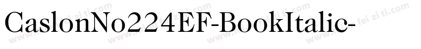 CaslonNo224EF-BookItalic字体转换