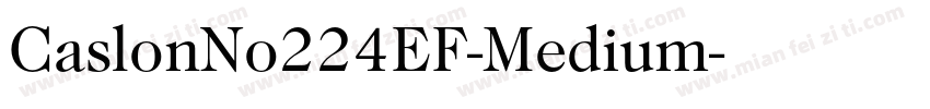 CaslonNo224EF-Medium字体转换