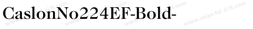 CaslonNo224EF-Bold字体转换