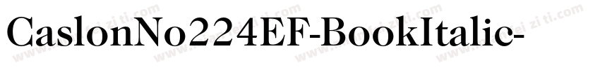 CaslonNo224EF-BookItalic字体转换