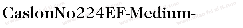 CaslonNo224EF-Medium字体转换