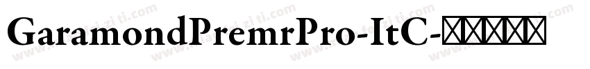 GaramondPremrPro-ItC字体转换