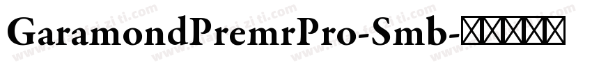 GaramondPremrPro-Smb字体转换