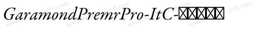 GaramondPremrPro-ItC字体转换