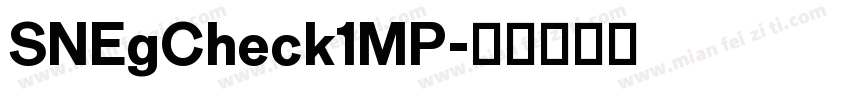 SNEgCheck1MP字体转换
