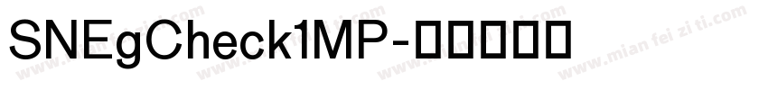 SNEgCheck1MP字体转换