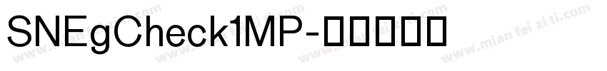 SNEgCheck1MP字体转换