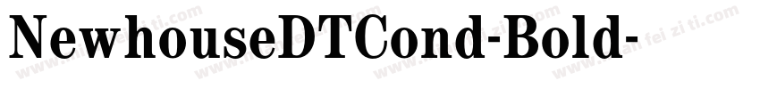 NewhouseDTCond-Bold字体转换