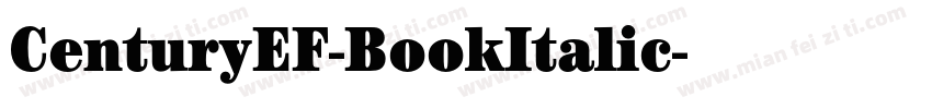CenturyEF-BookItalic字体转换